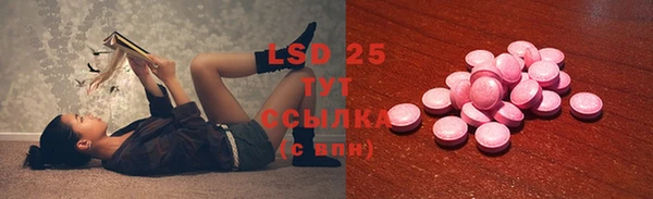 сатива Анжеро-Судженск