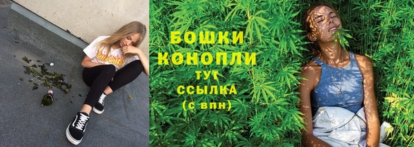 ALPHA PVP Майский