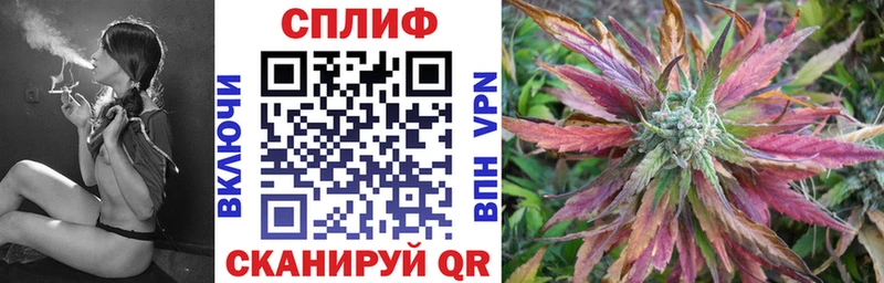 Канабис семена  Горбатов 